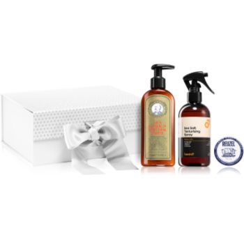 Reuzel Christmas Gift Set for Men - Hair Care set cadou de Craciun pentru barbati image2